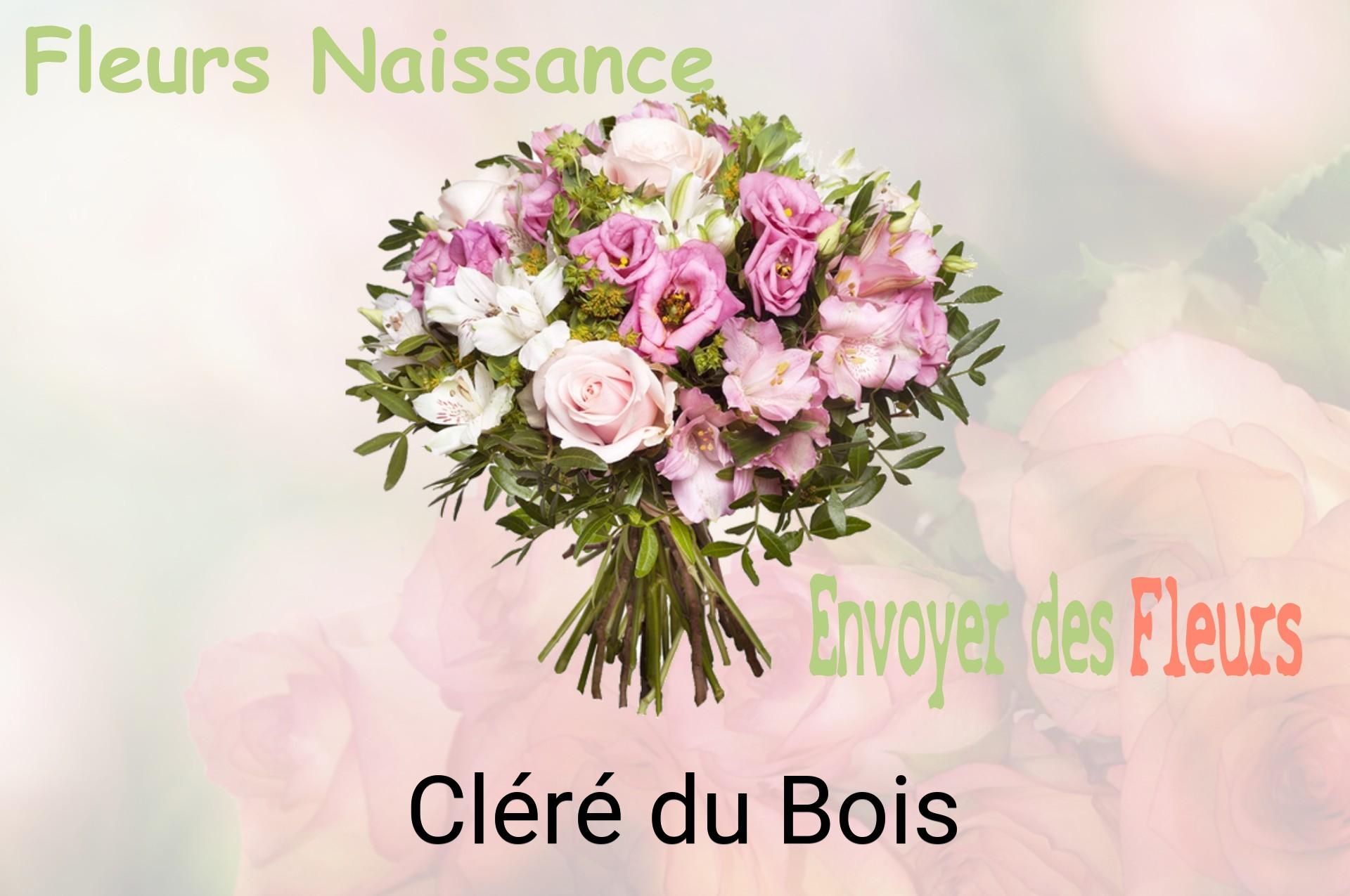 Bouquet de fleurs de naissance livré à Cléré-du-Bois