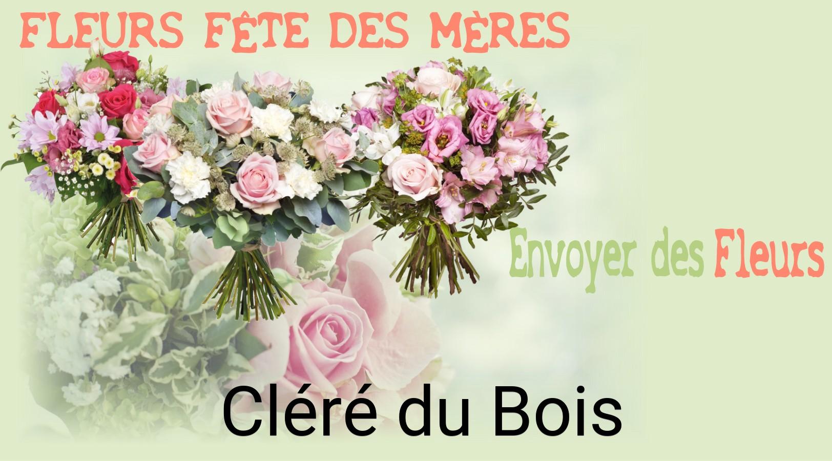 Bouquet de Fête des Mères livré à Cléré-du-Bois